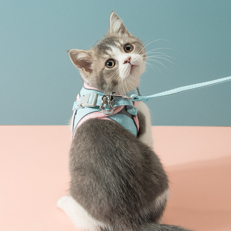 Escape-Proof Cat Harness & Leash – Secure and Stylish!