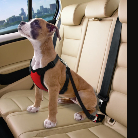 Adjustable Pet Car Seat Belt & Safety Harness