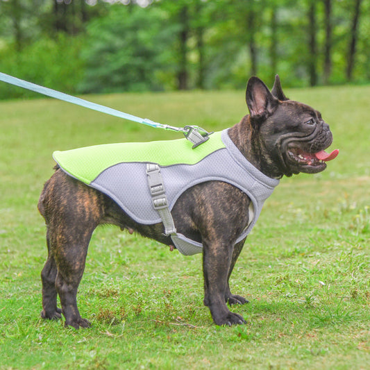 Keep Your Dog Cool This Summer – Breathable Cooling Vest